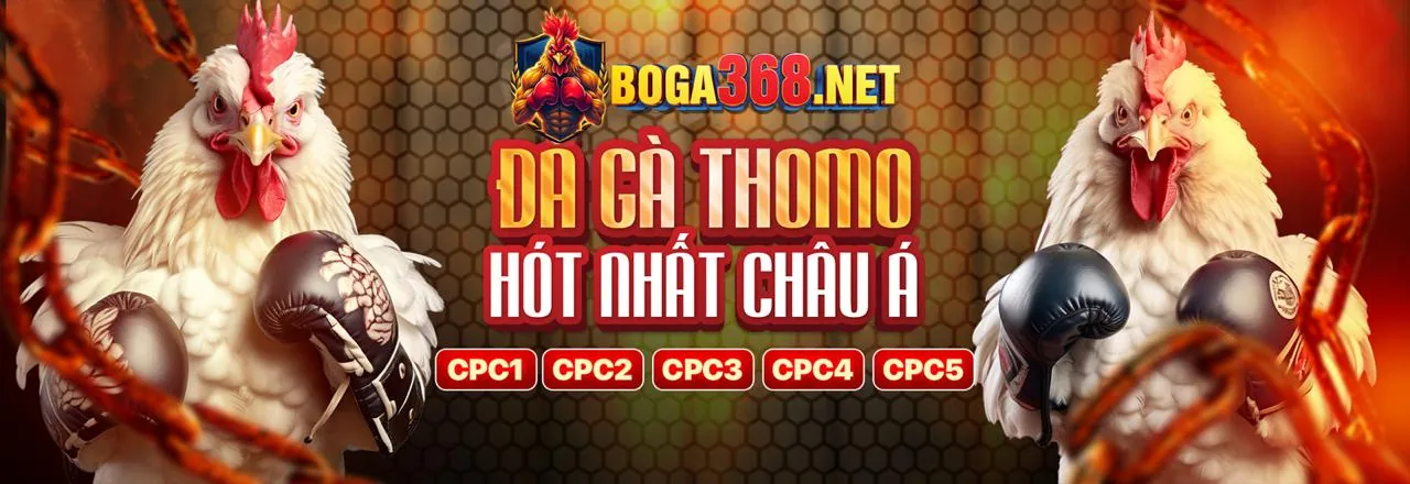 Hướng dẫn rút tiền từng bước tại 12BET